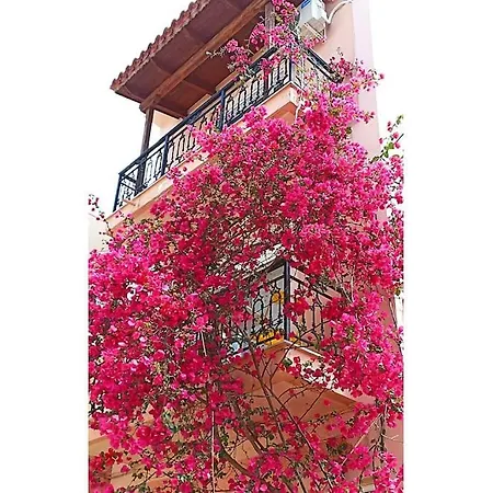 Apartament Bougainvillea Zakynthos