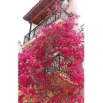 Appartement Bougainvillea Zante