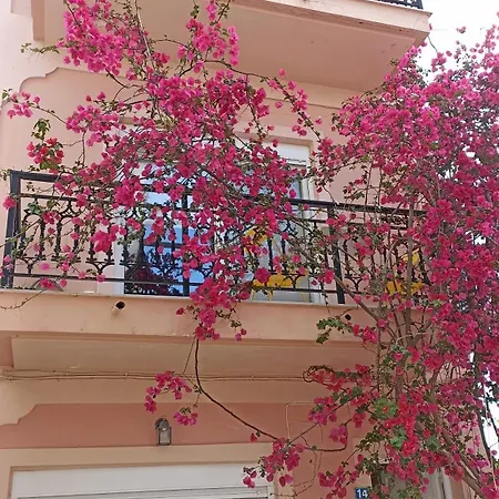Bougainvillea Appartement Zante